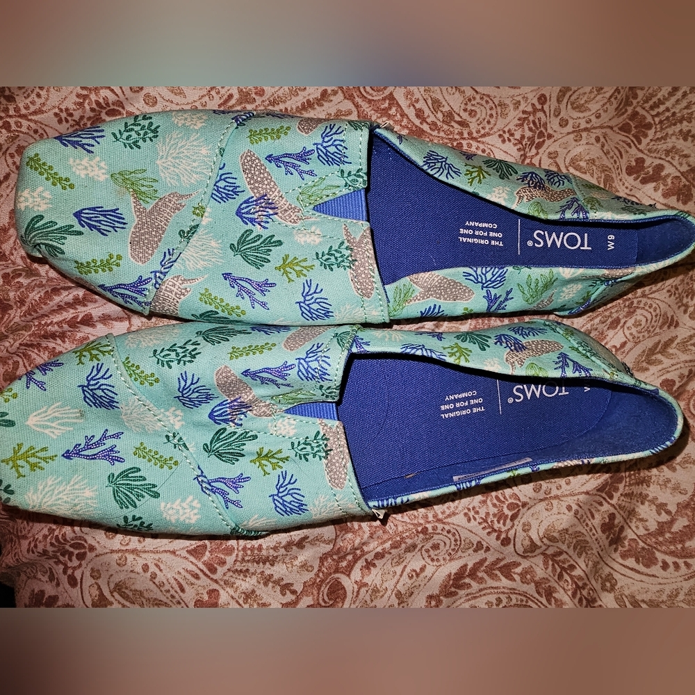 Toms size 6